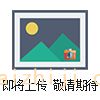 20920一次性油罐溫(wēn)度記錄儀
